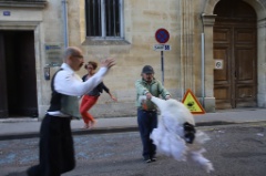 Du vent dans les Plumes 41 * 6240 x 4160 * (7.56MB)